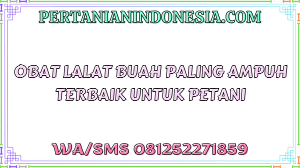 Obat Lalat Buah Paling Ampuh Terbaik Untuk Petani
